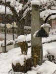 2004 20 febbraio (3) M.jpg