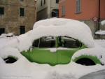 2004 22 febbraio (2) M.jpg