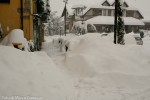 2006 27 gennaio (16) M.jpg