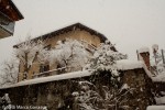 2008 10 dicembre (3) M.jpg