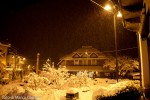 2010 01 dicembre (3) M.jpg