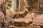 2012 14 dicembre (10) M.jpg