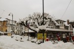 2013 24 febbraio (2) M.jpg