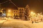 2015 21 gennaio (8) M.jpg