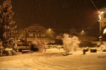 2015 21 gennaio (10) M.jpg